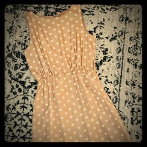 JCrew Vintage Polkadot Dress